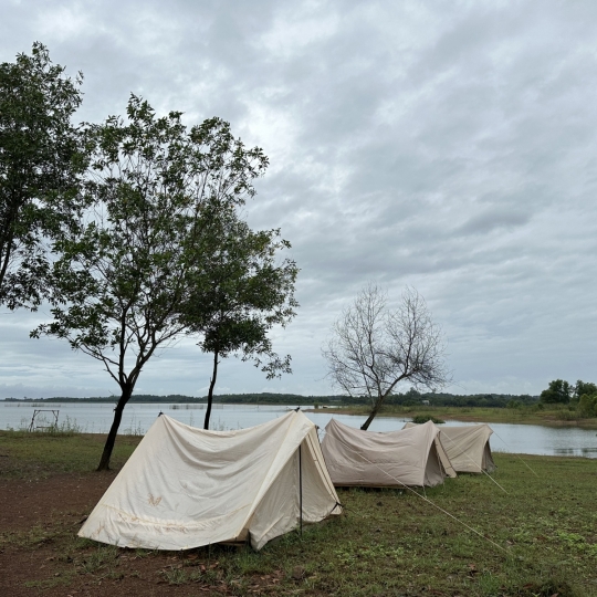 Lều Camping