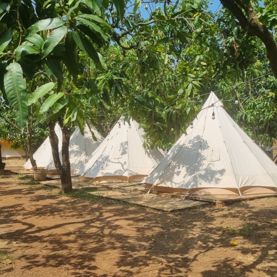 Glamping máy quạt