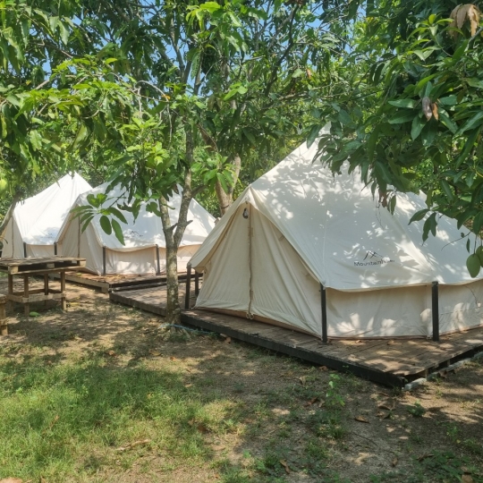 Glamping máy quạt